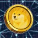 moeda-doge