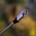 Apple pode lançar o USB Tipo-C no iPhone 15 com o nome de Lightning Pro | Pocket News #450